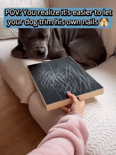 PawPlay Nail Scratch Board