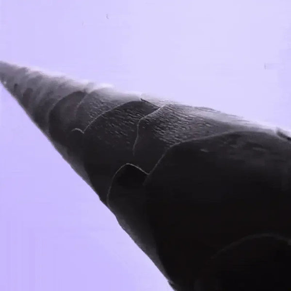 Ion Shine Styling Brush