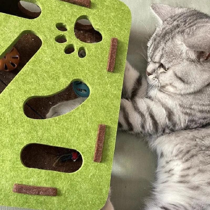 Satisfy Your Cat's Wild Instict With Luxiz-Puzzle™