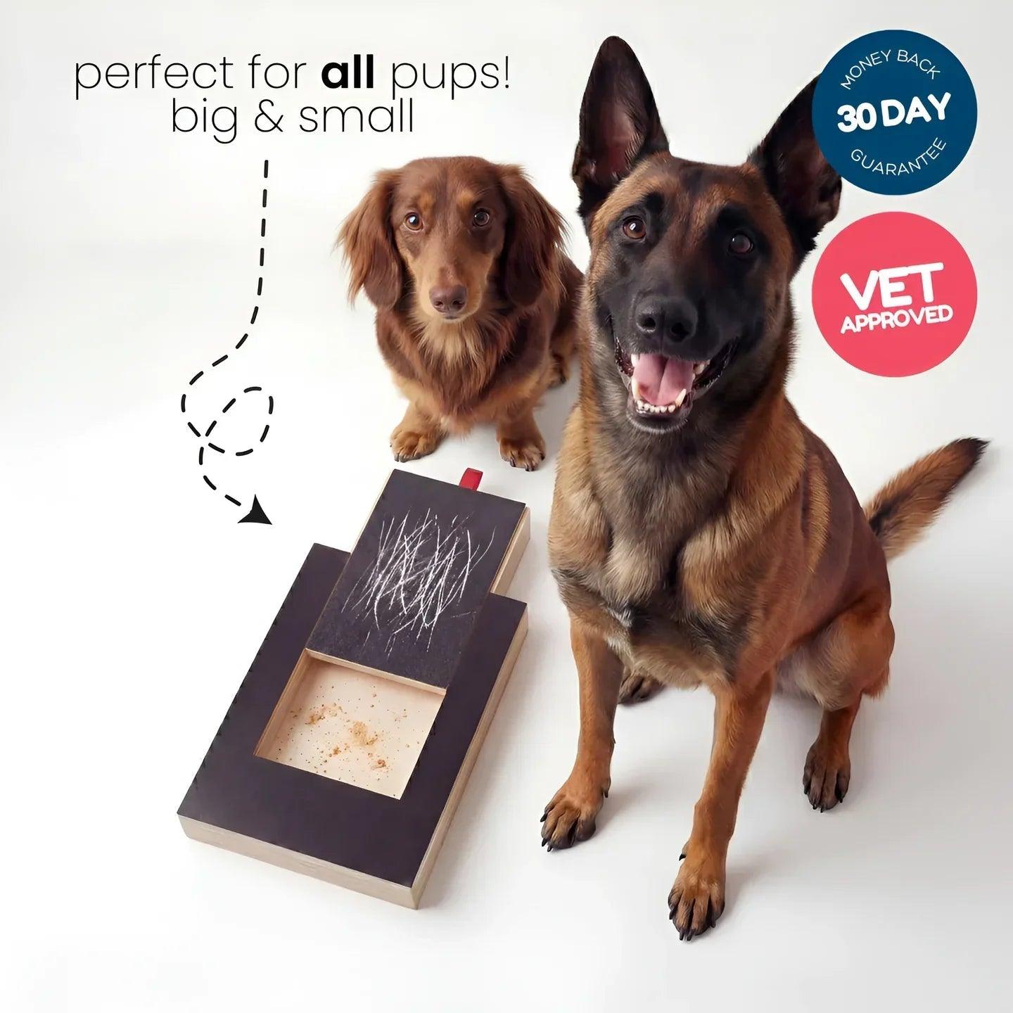PawPlay Nail Scratch Board
