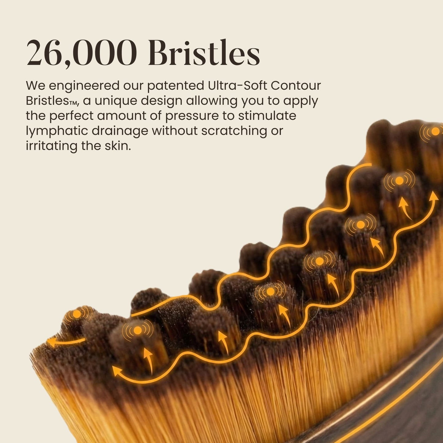 Lymphatic Contour Brush