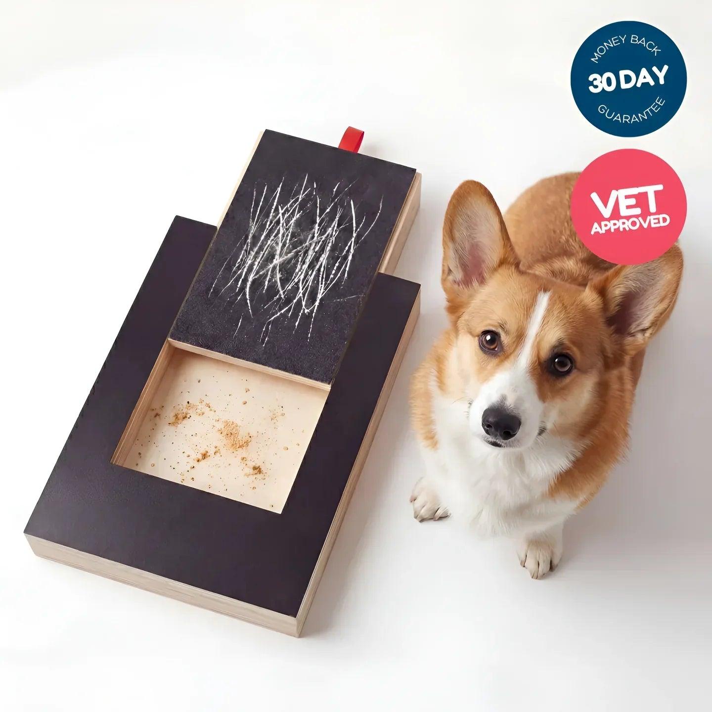 PawPlay Nail Scratch Board