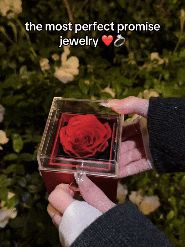 LoveKnight Eternal Necklace