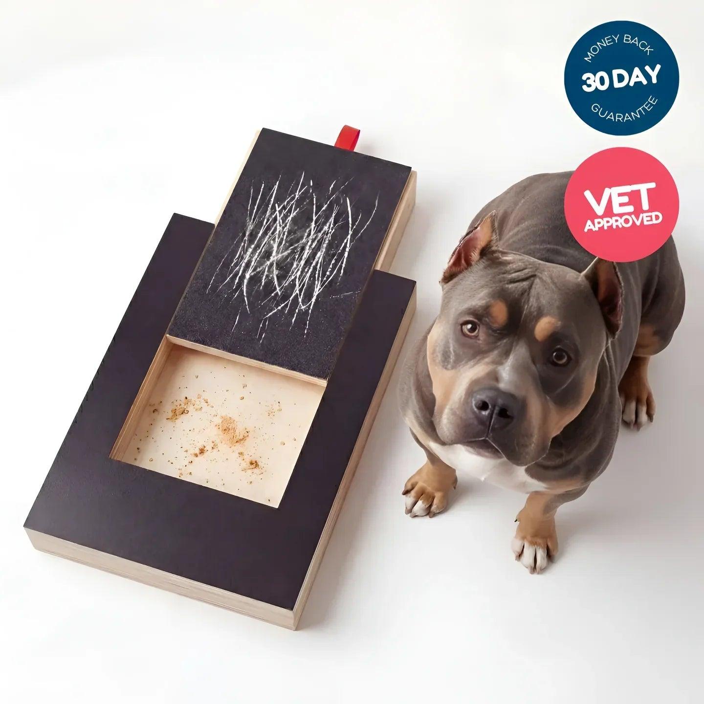 PawPlay Nail Scratch Board