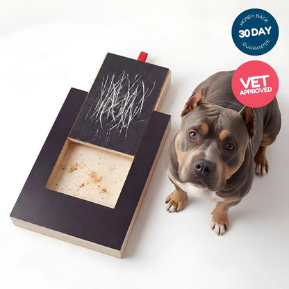 PawPlay Nail Scratch Board