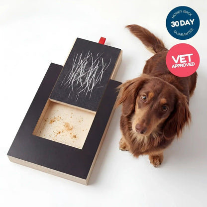PawPlay Nail Scratch Board