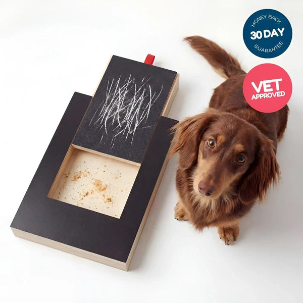 PawPlay Nail Scratch Board
